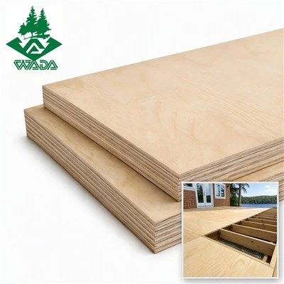 18mm Wbp Birch Plywood سۇ ئۈزۈش سۇيۇقلۇقى